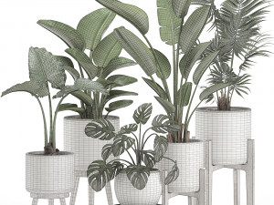 decorative plants for the interior in white pots 557 3D Model