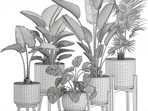 decorative plants for the interior in white pots 557 3D Model