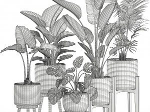 decorative plants for the interior in white pots 557 3D Model
