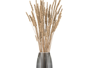 bouquet of dried flowers in a vase 104 Modello 3D