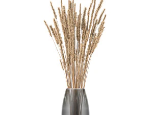 bouquet of dried flowers in a vase 104 3D Model