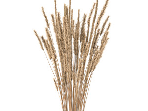bouquet of dried flowers in a vase 104 Modello 3D