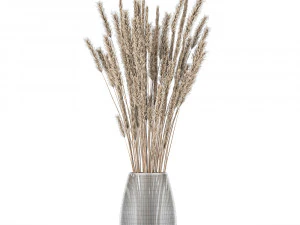 bouquet of dried flowers in a vase 104 3D Model