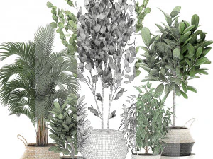 decorative trees for the interior in basket 560 3D Model