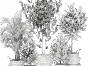 decorative trees for the interior in basket 560 3D Model