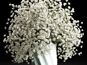 bouquet of white flowers in a vase for decoration 107 Modelo 3D