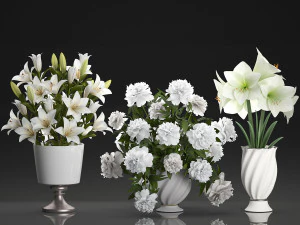 bouquet of white flowers in a vase for decoration 109 3D Model