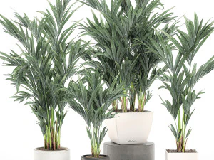 palma decorativa in vaso da fiori bianco 563 Modello 3D