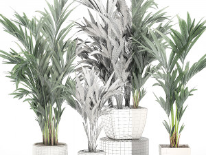 decorative palm in a white flowerpot 563 3D Model