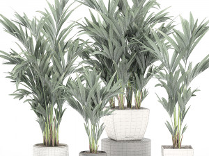 decorative palm in a white flowerpot 563 3D Model