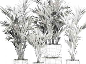 decorative palm in a white flowerpot 563 3D Model