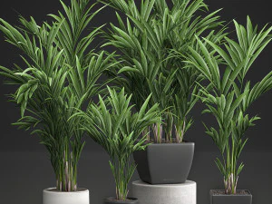 palma decorativa in vaso da fiori bianco 564 Modello 3D