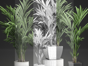 decorative palm in a white flowerpot 564 3D 모델