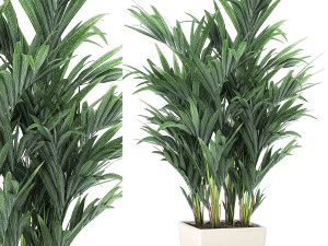 흰색 화분에 장식용 야자나무 565 3D 모델