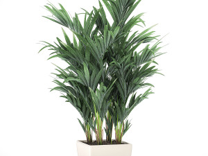 decorative palm in a white flowerpot 565 3D Модель