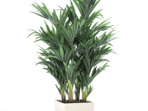 decorative palm in a white flowerpot 565 3D Model