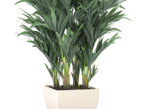 decorative palm in a white flowerpot 565 3D Модель