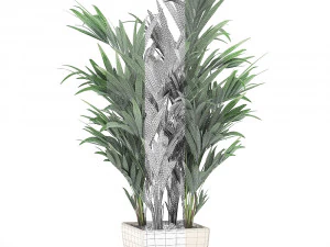 decorative palm in a white flowerpot 565 3D Model