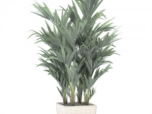 decorative palm in a white flowerpot 565 3D Модель