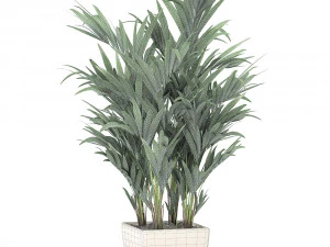 decorative palm in a white flowerpot 565 3D Model