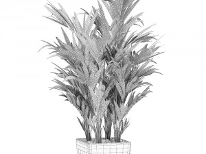 decorative palm in a white flowerpot 565 3D Model