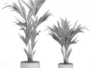 decorative palm in a white flowerpot 566 3D Model