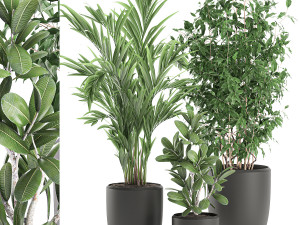 decorative plants in a white flowerpot 567 3D Model