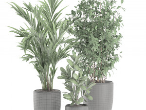 decorative plants in a white flowerpot 567 3D Model