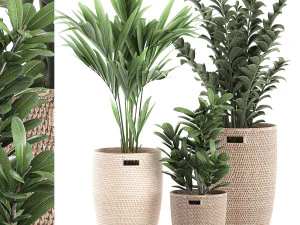 decorative plants in a basket 568 3D Model