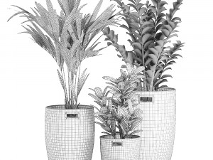 decorative plants in a basket 568 3Dモデル