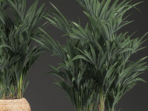 decorative palm in a in a basket 569 Modelo 3D