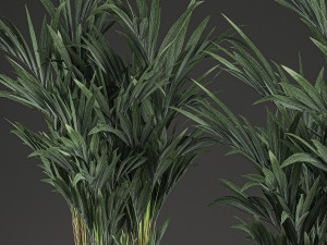 decorative palm in a in a basket 569 Modelo 3D