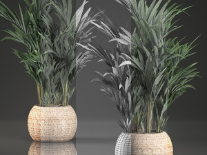 decorative palm in a in a basket 569 Modelo 3D
