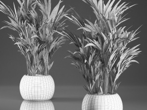 decorative palm in a in a basket 569 Modelo 3D