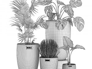 decorative plants in a basket 570 3D मॉडल