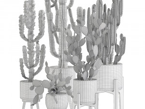 decorative cactus in white pots for the interior 571 3D Model