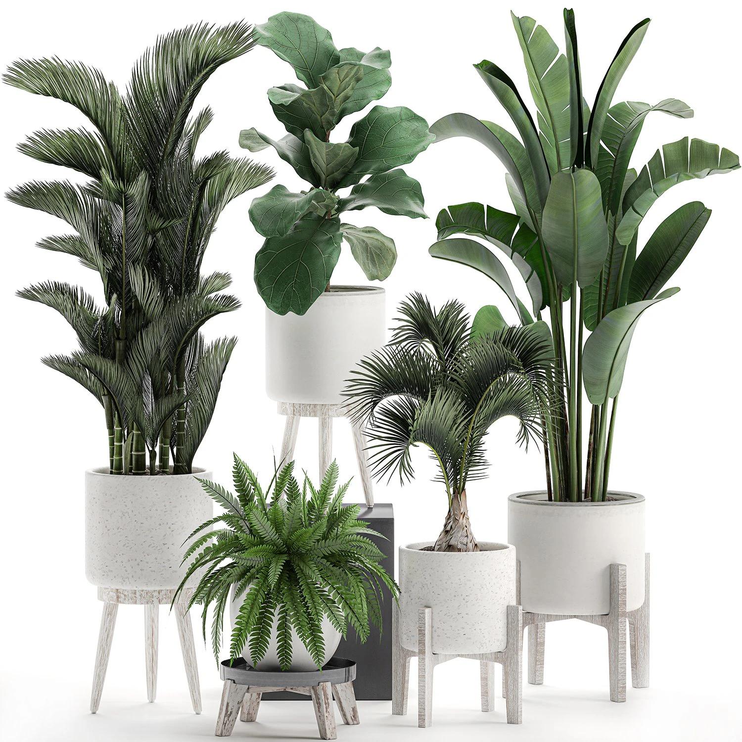 decorative plants in a white flowerpot 573 3D Model .c4d .max .obj .3ds .fbx .stl .blend 