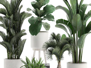decorative plants in a white flowerpot 573 3D Model