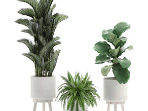 decorative plants in a white flowerpot 573 3D Model