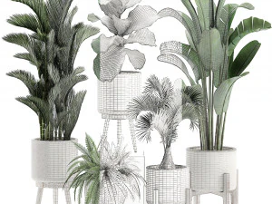 decorative plants in a white flowerpot 573 3D Model