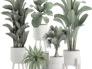 decorative plants in a white flowerpot 573 3D Модель