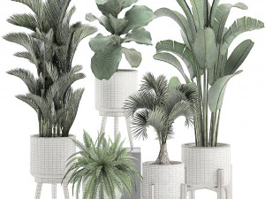 decorative plants in a white flowerpot 573 3D Model