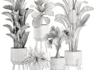 decorative plants in a white flowerpot 573 3D Модель