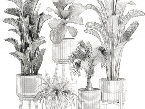decorative plants in a white flowerpot 573 3D Model