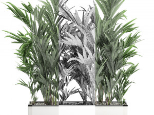 decorative palm in a white flowerpot 573 Modelo 3D
