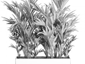 decorative palm in a white flowerpot 573 Modelo 3D