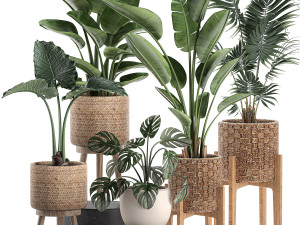 decorative plants in a basket 574 3D Model