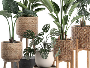 decorative plants in a basket 574 3D Модель