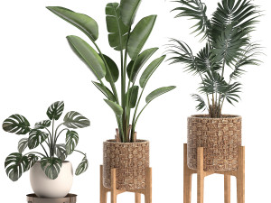 decorative plants in a basket 574 3D Модель