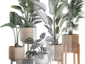 decorative plants in a basket 574 3D Модель